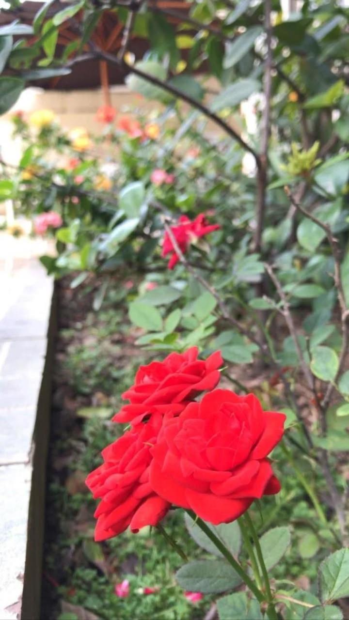 Villa Garza Inn Guayaquil Esterno foto